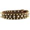 Leather Spiked and Studded Dog Collar for Pitbull