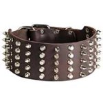 3 inch Spiked and Studded Pitbull Collar