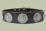 Leather Designer dog collar for PITBULL