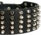Pyramid Studs on Leather Dog Collar for Pitbull