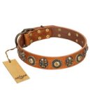 "Golden Epoch" FDT Artisan Tan Leather Pitbull Collar with Old Bronze-plated Medallions and Conchos