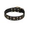 'Jolly Rojer' FDT Artisan Pitbull Leather Dog Collar with Pirate Skulls and Studs - 1 1/2 inch (40 mm) wide