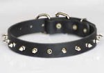 Puppy Spiked Dog Collar- 1 Row of spikes dog collar