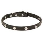"Shiny Necklace" Leather Dog Collar with Chrome Plated Round Studs 3/4 Inch (20 mm) Wide