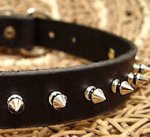 Small Spiked Dog Collar for Pitbull puppy