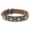 "Rock n Roll' Leather Pitbull Collar with Fancy Decorations