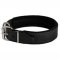Leather Pitbull Collar with Thick Felt Padding - 1.5" width