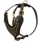 Studded Walking Dog Harness - Custom Leather Dog Harness