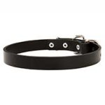 Classic Leather Dog Collar with Steel Nickel Plated Hardware
