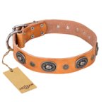 "Twinkle Twinkle" FDT Artisan Incredible Studded Tan Leather Pitbull Collar