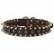Pitbull Leather Spiked and Studded Dog Collar