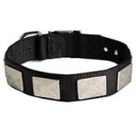 Custom Nylon Dog Collar For Large Dog Breeds With Vintage Plates