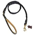 Exclusive Design Braided Leather Leash for Pitbull