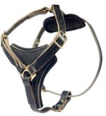 2-ply Latigo Leather Harness for Pitbull