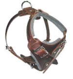 Medium dog Harness for Pitbull -Leather Harness