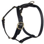 Similar Lupine adjustable dog harness for Pitbull
