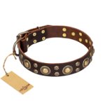 'Flower Melody' FDT Artisan Pitbull Brown Leather Dog Collar with Mixed Studs for Walking