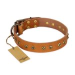 "Autumn Story" FDT Artisan Leather Pitbull Collar with Old Bronze Look Studs