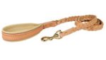 Leather 4 Foot Leash for Pitbull