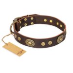 "One-of-a-Kind" FDT Artisan Handmade Decorated Brown Leather Pitbull Collar