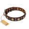 'Flower Melody' FDT Artisan Pitbull Brown Leather Dog Collar with Mixed Studs for Walking