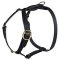 Similar Lupine adjustable dog harness for Pitbull