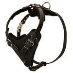 Durable Dog Harness-Leather Dog Harness for Pitbull