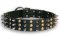 PITBULL Studs Black collar 21'' /21 inch dog collar - S59