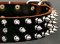 Protector Full Spiked Latigo Dog Collar for Pitbull