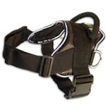 Hug a dog harness for Pitbull