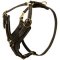 Exclusive Luxury Handcrafted Padded Leather Dog Harness