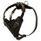 Super Comfortable Leather Dog Harness for Attack/Agitation Training