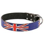 'Union Jack' Leather Pitbull Collar with Handmade Painting
