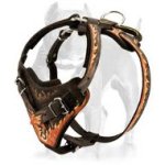 Awesome Leather Dog Harness With Exclusive Handmade Painting
