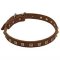 First Class Leather Dog Collar with Fascinating Brass Studs