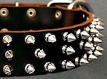 Protector Full Spiked Latigo Dog Collar for Pitbull