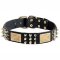 Eye-catchy Design Leather Pitbull Collar