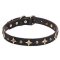 1 inch (25 mm) 'Milky Way' Leather Dog Collar with Old Bronze-plated Half-balls and Stars