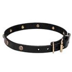 'Cloak and Sword' Leather Dog Collar with Engraved Round Studs