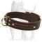 Braided Leather Dog Collar for PITBULL