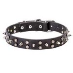 "Star-studded Sky" Pitbull Leather Collar with Chrome Plated Decorations