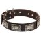 War Style Dog Leather Collar Decorated with Nickel Plates