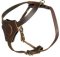 Dog Harness for small dogs/for Pitbull puppy