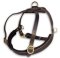 Great Leather Roading Dog Harness for Pitbull