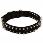 Black Colored Nylon Spiked Dog Collar - Custom Made Dog Collar With 2 Rows of Fancy Spikes