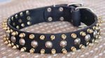 Three Rows with brass Leather Spikes and Studded Dog Collar S57