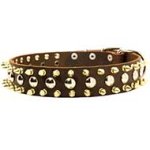 Leather Spiked and Studded Dog Collar for Pitbull