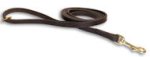 Order Now Leather Belt Leash - 1/2 wide leash for PITBULL
