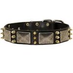 Gorgeous War Leather Dog Collar with Massive Plates+3 Brass Spikes