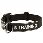 Heavy Duty Patch Nylon Dog Collar for Strong Pitbull